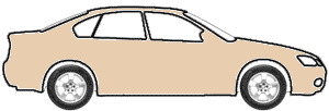 Copper Beige  touch up paint for 1989 Buick All Other Models