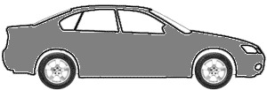 Medium Graphite Metallic -4986 touch up paint for 2008 Itasca All Models