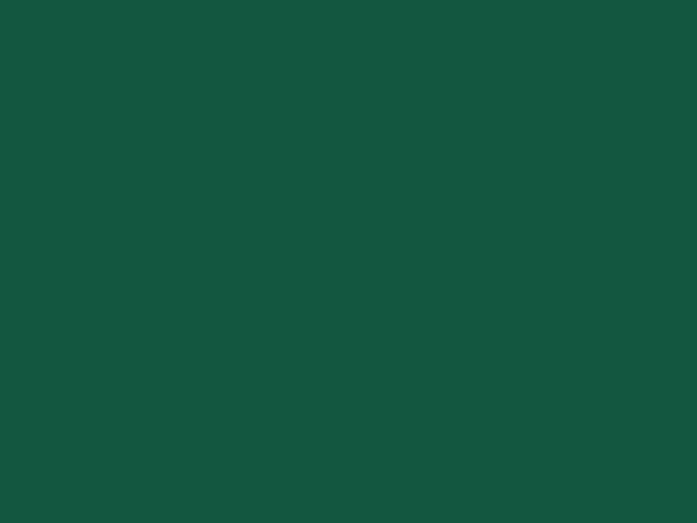 Ford jewel green paint #8