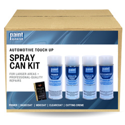 Picture of Spray Paint Kit (Tricoat)